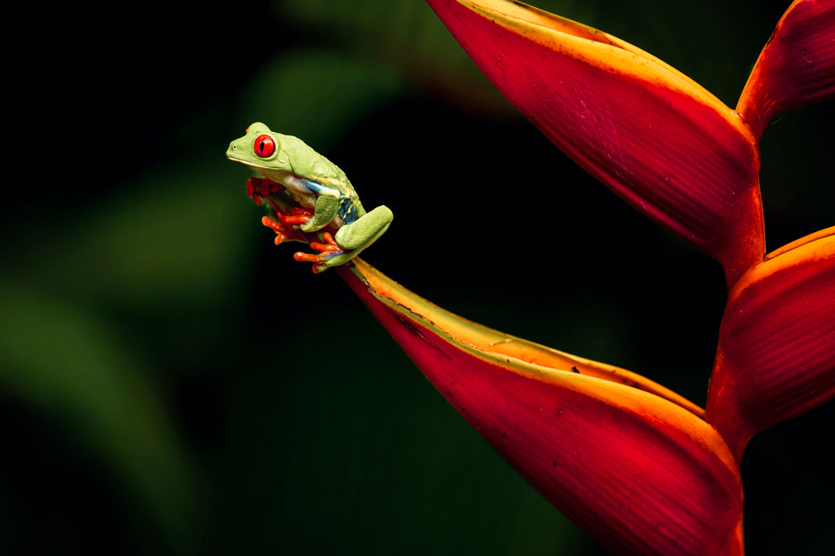 Photographer Image